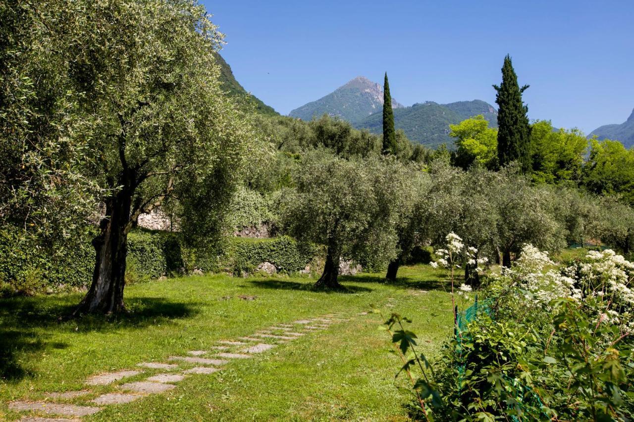 Casa O-Live Lejlighed Riva del Garda Eksteriør billede